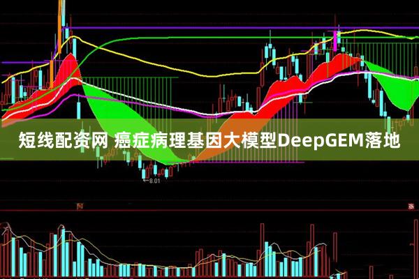 短线配资网 癌症病理基因大模型DeepGEM落地